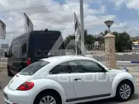 2014 Volkswagen BEETLE
