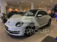 2014 Volkswagen BEETLE