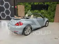 2014 Volkswagen BEETLE