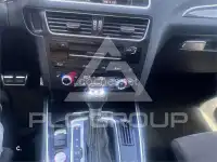 2015 Audi SQ5