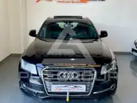 2015 Audi SQ5