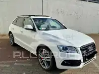 2015 Audi SQ5