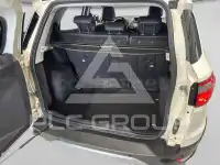 2015 Ford Eco Sport