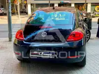2015 Volkswagen BEETLE