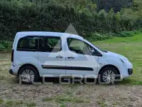 2016 Citroen Berlingo
