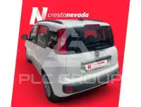2017 Fiat Panda