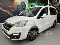 2017 Citroen Berlingo