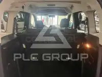 2017 Ford Tourneo