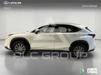 2018 Lexus NX