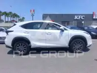 2018 Lexus NX