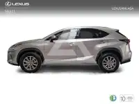2018 Lexus NX