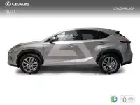 2018 Lexus NX