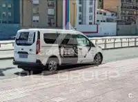 2018 Ford Tourneo