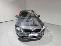 2019 Skoda Octavia