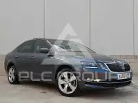2019 Skoda Octavia