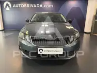 2019 Skoda Octavia