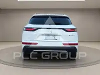 2019 DS DS7