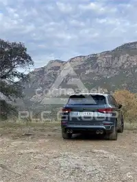2019 Cupra Other