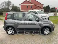 2019 Fiat Panda