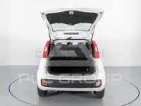 2019 Fiat Panda