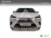 2019 Lexus NX