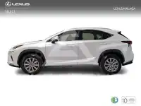 2019 Lexus NX