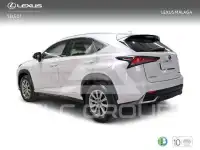 2019 Lexus NX