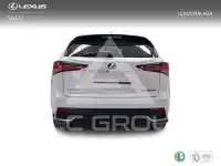 2019 Lexus NX