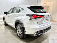2019 Lexus NX