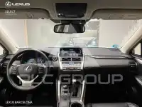 2019 Lexus NX