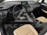 2019 Lexus NX