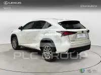 2019 Lexus NX