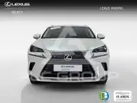 2019 Lexus NX