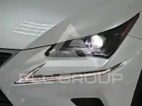 2019 Lexus NX