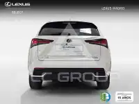 2019 Lexus NX