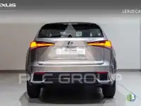 2019 Lexus NX