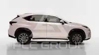 2019 Lexus NX