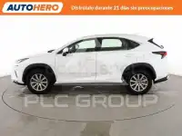 2019 Lexus NX