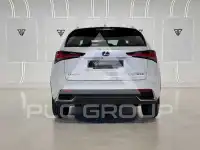 2019 Lexus NX