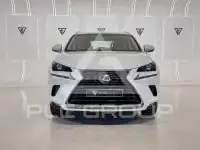 2019 Lexus NX