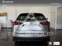 2019 Lexus NX