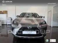2019 Lexus NX