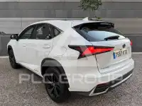 2019 Lexus NX