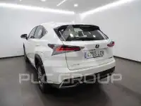 2019 Lexus NX
