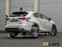 2019 Lexus NX