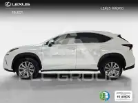 2019 Lexus NX