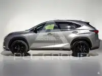 2019 Lexus NX