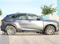 2019 Lexus NX