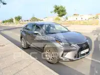 2019 Lexus NX