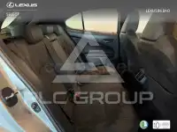 2019 Lexus UX